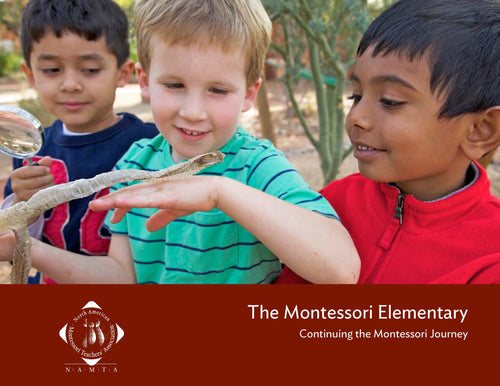 The Montessori Elementary: Continuing the Montessori Journey