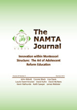 Vol 40, No 3: Innovation Within Montessori Structure