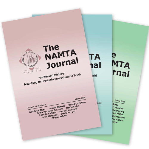 The NAMTA Journal Legacy Set