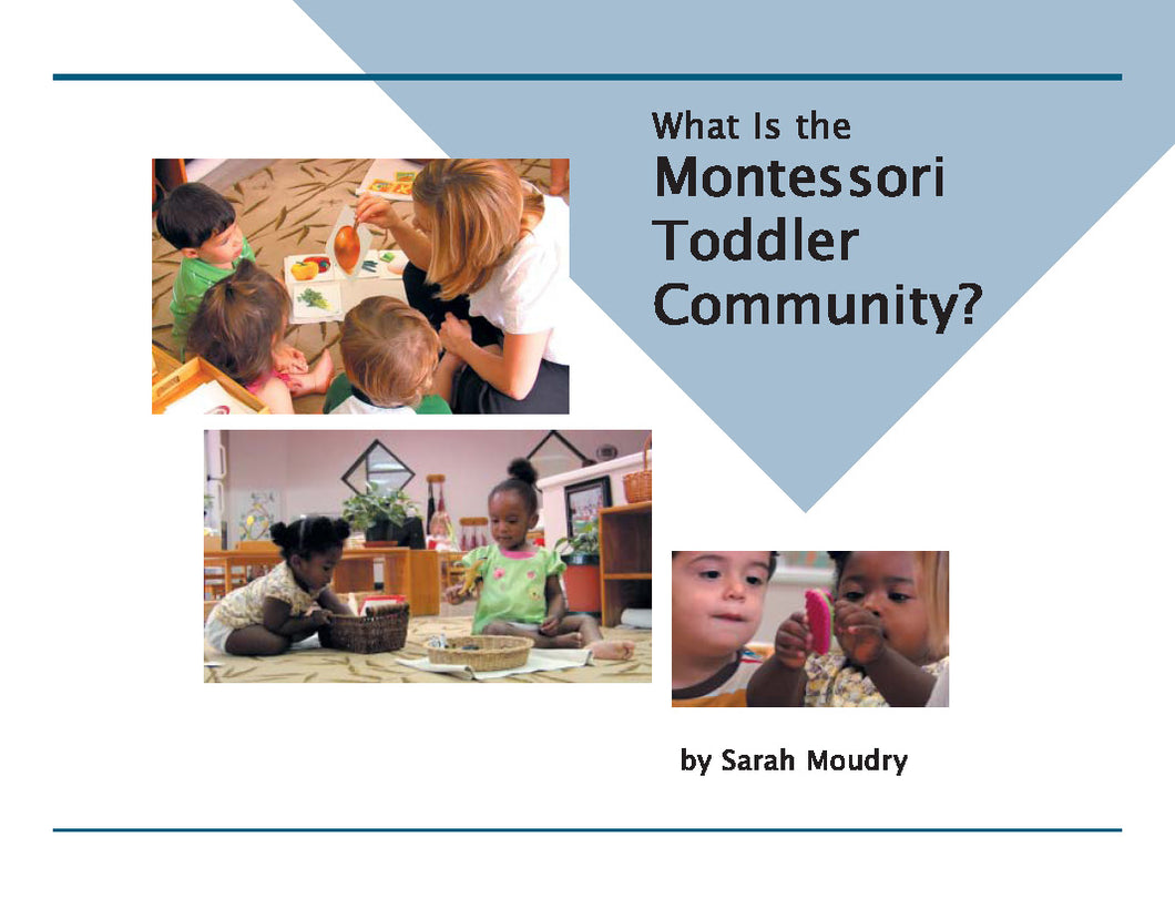 What is the Montessori Toddler - DVD